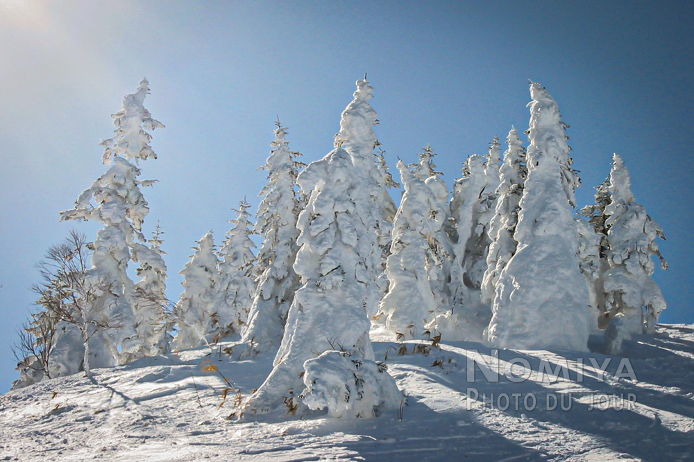 domaine skiable de Shiga Kogen