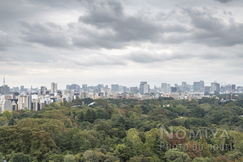 Shinjuku Gyoen est un espace vert incontournable au cœur de la capitale nippone